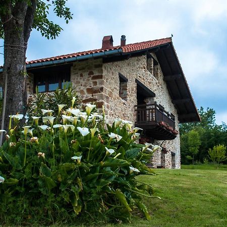 Apartamentos Rurales Larrago Busturia Екстериор снимка